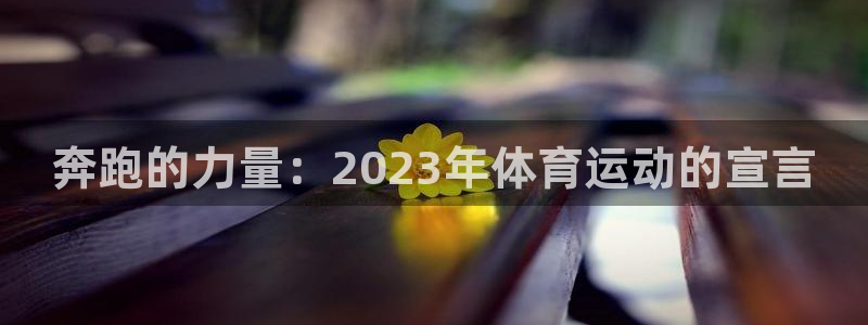 米兰体育官方正版app集团简介:奔跑的力量:2023年体育运