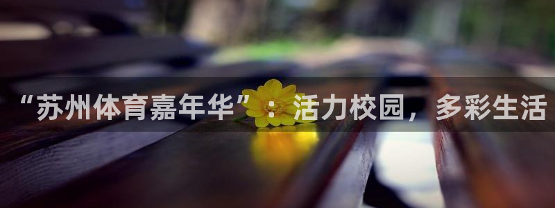 米兰体育官方正版app五金厂:“苏州体育嘉年华”:活力校园,