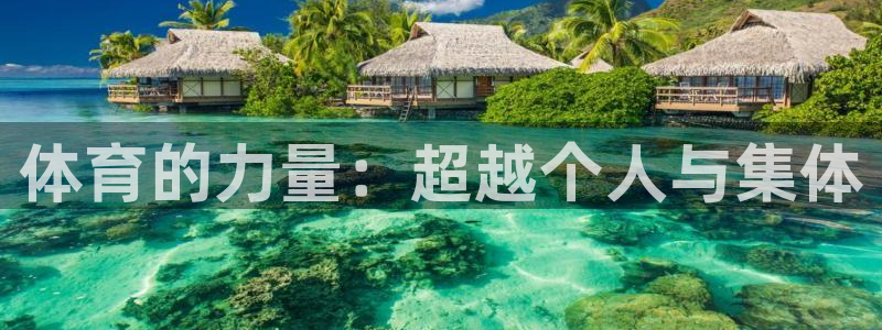 米兰体育官网下载平台APP:体育的力量:超越个人与集体